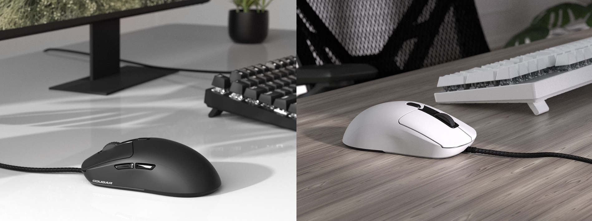 Snímek obrazovky 2026-03-24 113100